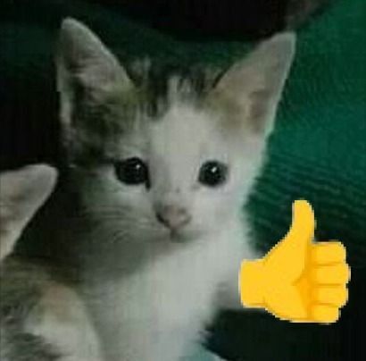 Это действительно потрясающе.