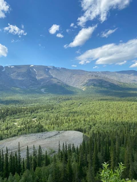 🌍 Хибины — это место, где тишина становится почти ося?...