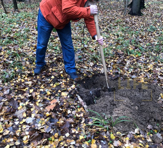❗НЕ НАДО ХРАНИТЬ СВОИХ ПИТОМЦЕВ В ЛЕСУ! ЭТО ЗАПРЕЩЕНО! ...
