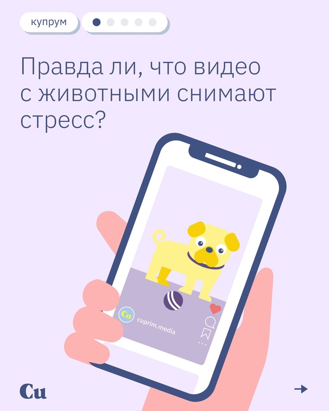 🐶🐱 «Ну какая прелесть! Какой хорошенький!»
А что вам ...