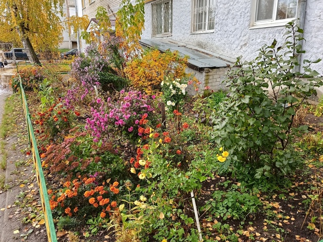 🍂🍁☔ Осенний Ковров