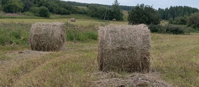Доброе утро 😉🏃‍♀️