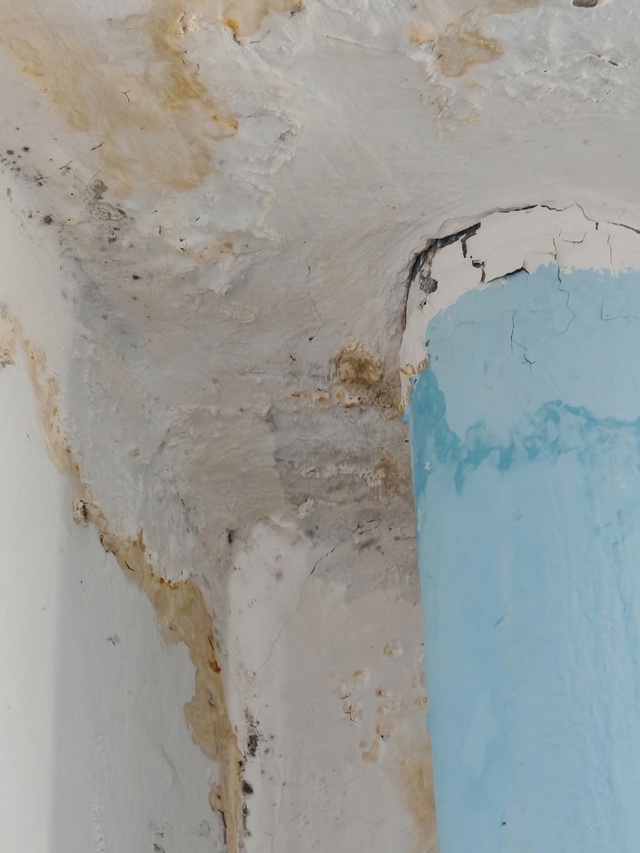 Добрый день. Подскажите, куда обращаться по поводу про?...