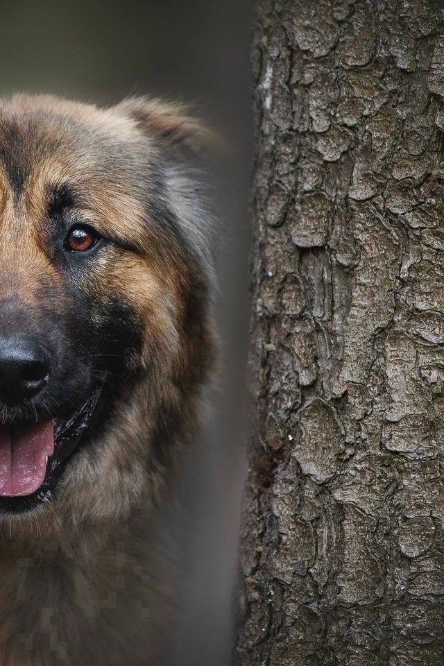 В ПОИСКЕ ДОМА В МОЖАЙСКЕ ОЧАРОВАТЕЛЬНАЯ КАПА💫
Капа д?...