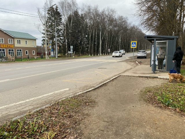 Бегает у Империи Цветов видно потерялась с поводком