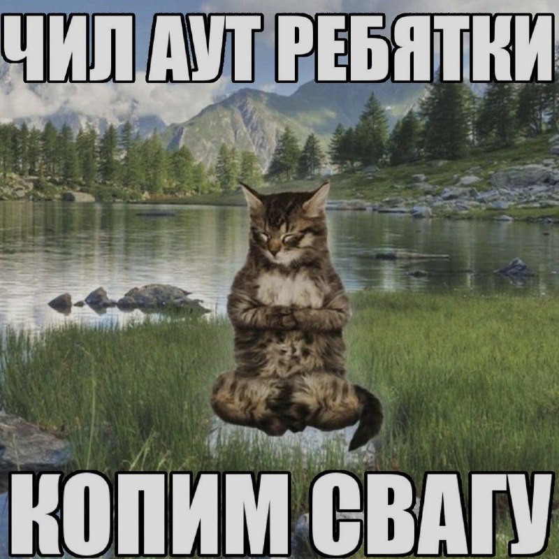 Ночная подборочка
Спать, режим