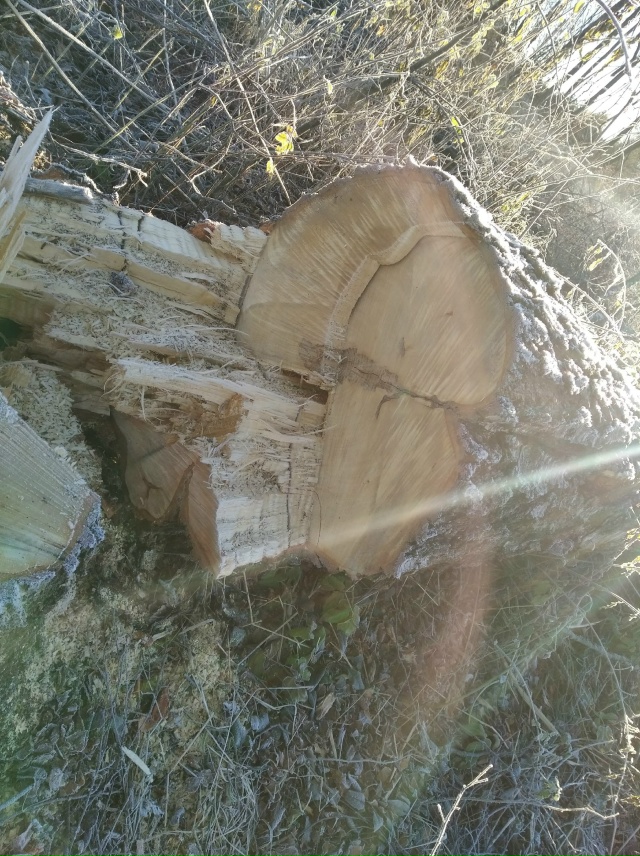 На вопрос о незаконном разбазаривании ресурсов после ?...