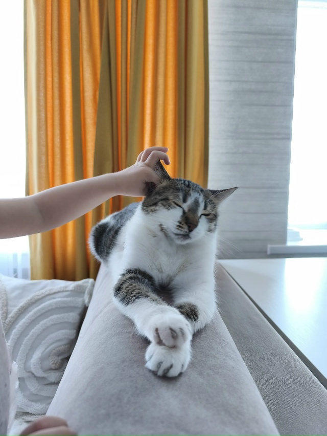 Чёс чёс
#ЛарисаВячеславовна