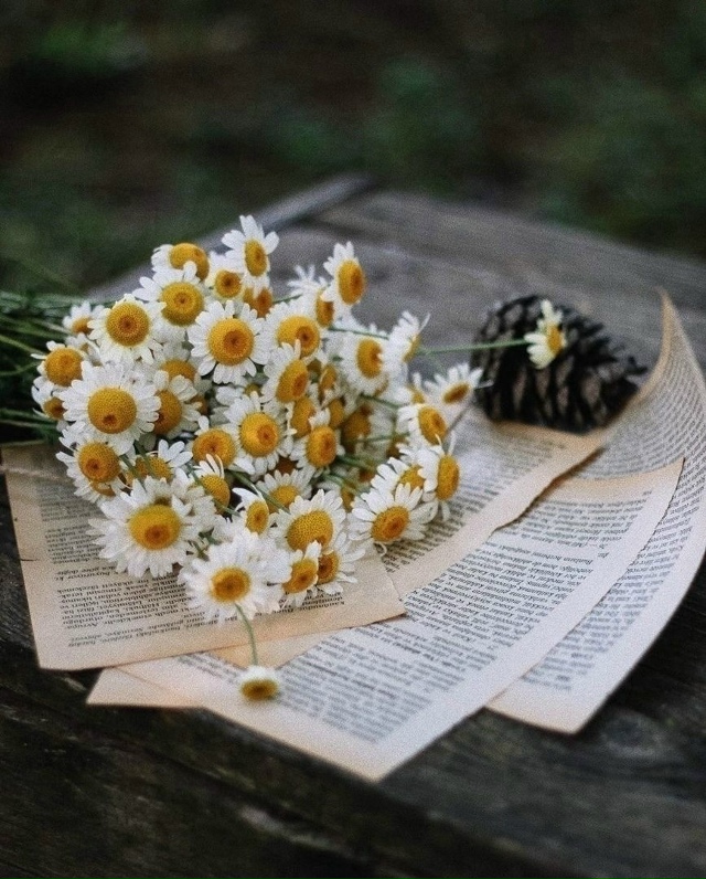 забудь все плохое.
начни с чистого листа.