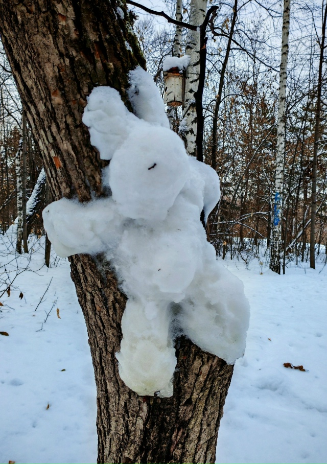 Зимниe зaбaвы вo двopaх Ηoвocибиpcкa ☃️