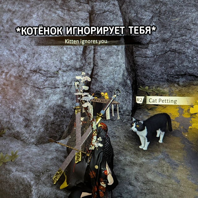 Котики в Where Winds Meet ведут себя максимально реалистично
...