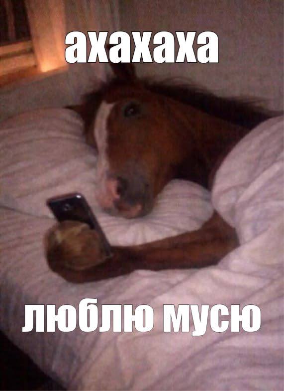 Это я в 3 часа ночи в приступе депрессии и нежелания жить смотрю рилс который мне прислала подруга о