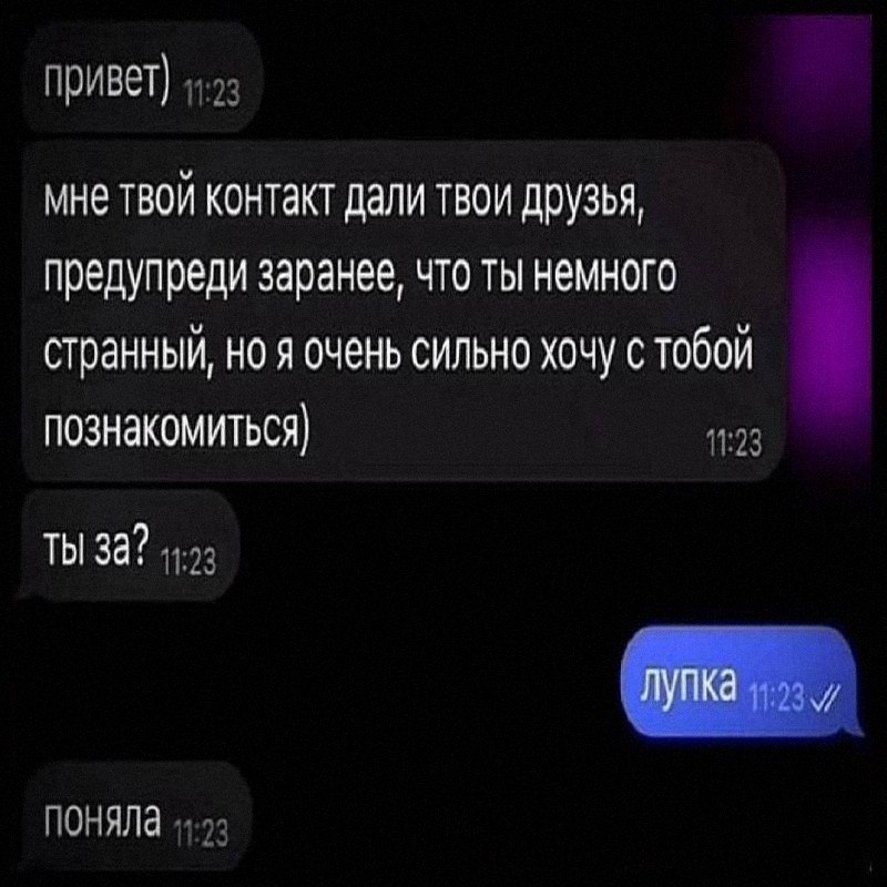 Утренняя подборочка