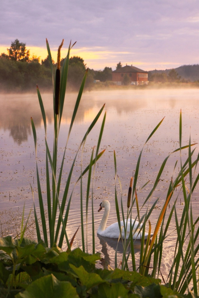 Село Бым на рассвете😍
📸 Анна Гладышева