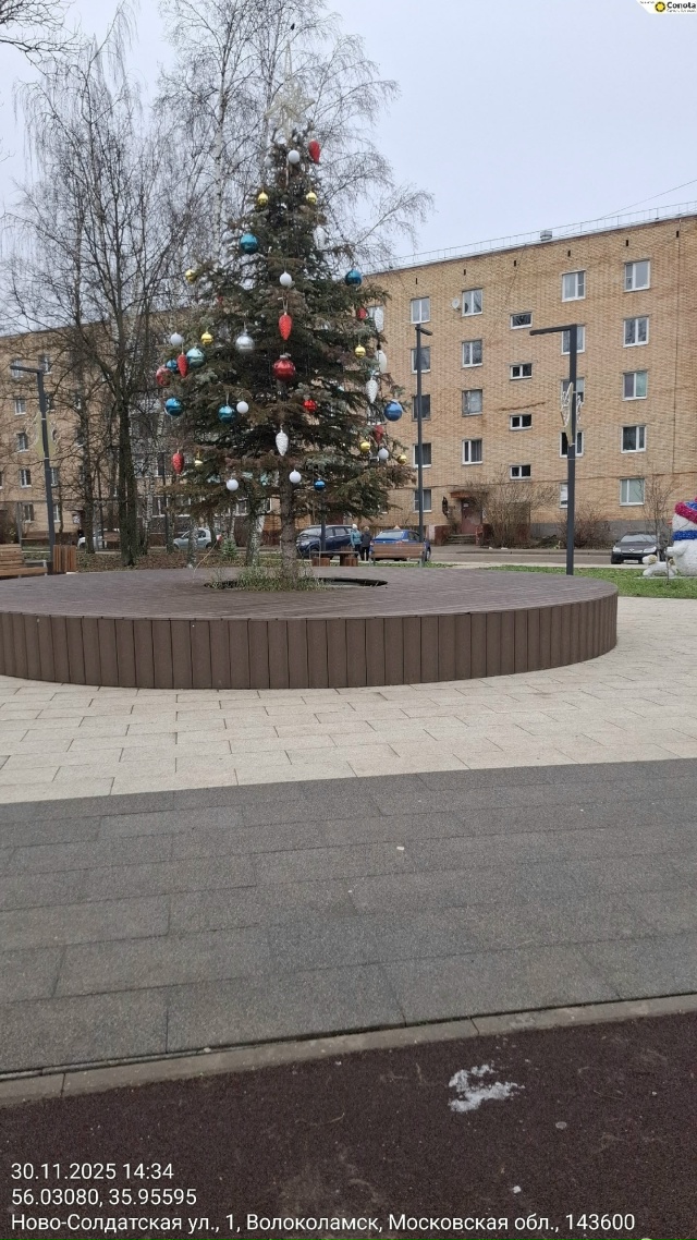 Возле почты красавицу нарядили 😂
Источник t.me/vlk_sluh/21813