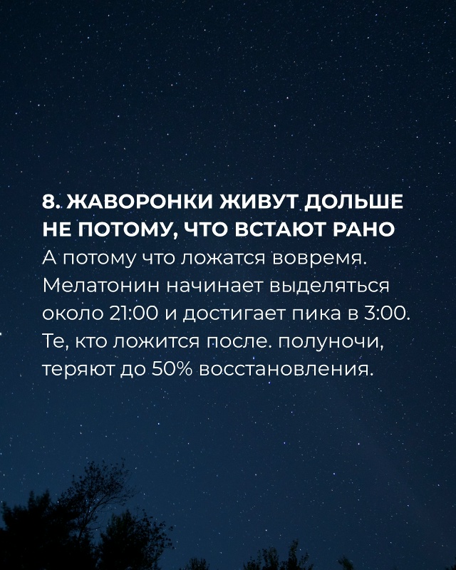 Сон — это не отдых, а генеральная уборка мозга. Недосып...
