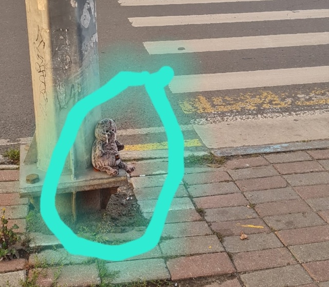 Игрушка котик Басик ждёт хозяев на перекрёстке улиц Со...