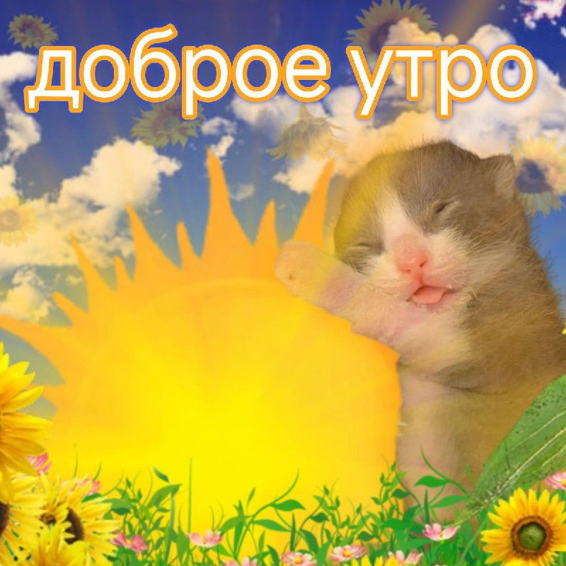 Утренняя подборочка