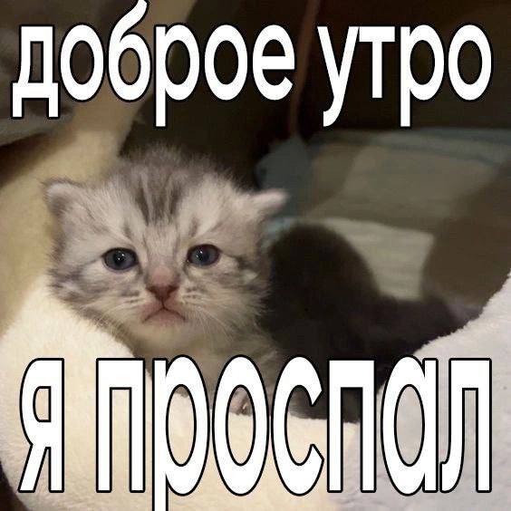 Утренняя подборочка