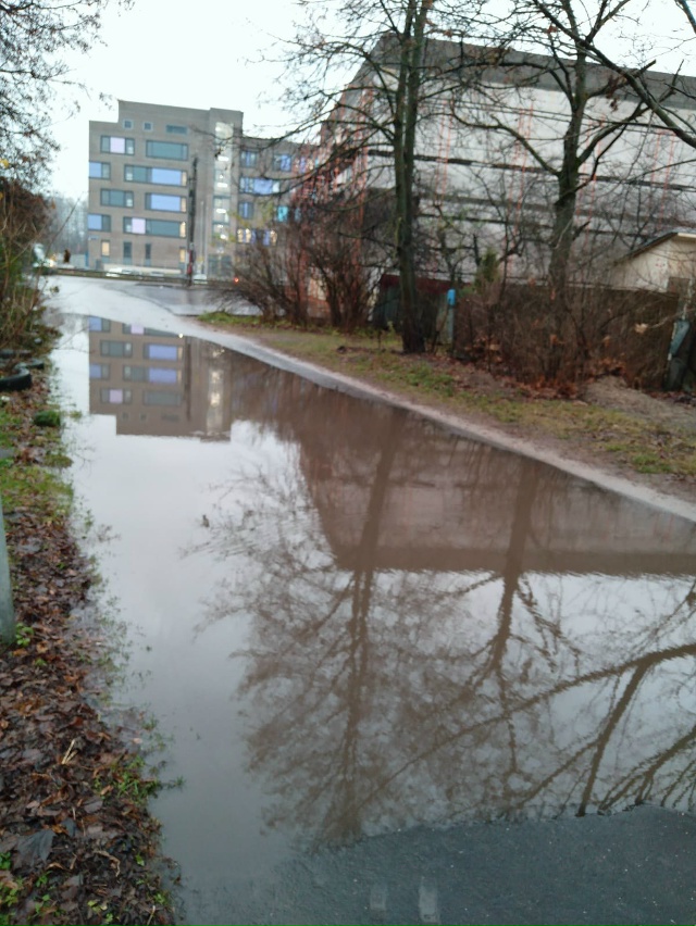 Просим помощи! В нашем частном секторе мкрн Саввино на ...