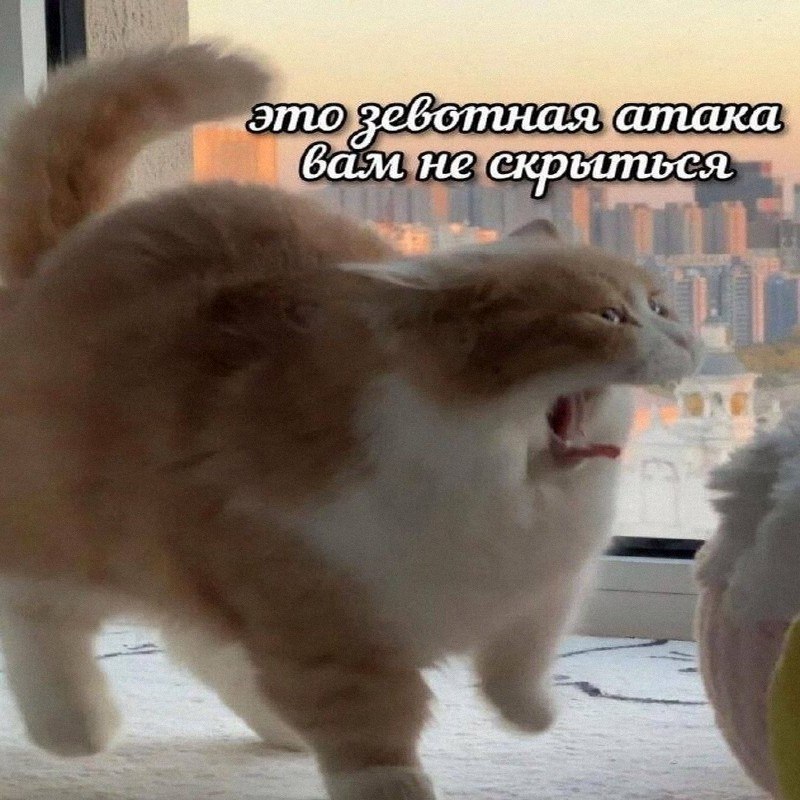Утренняя подборочка