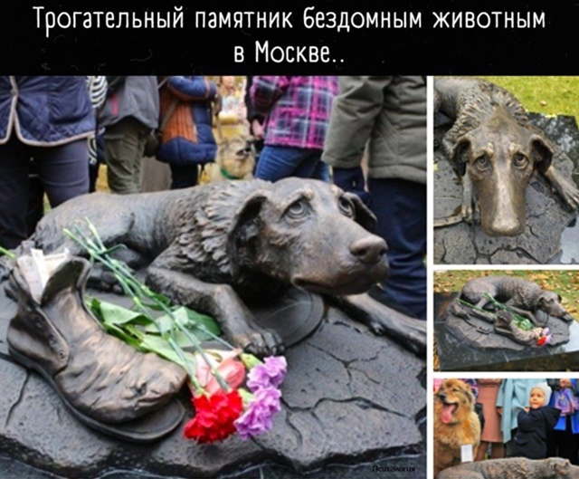 Не забывайте помогать и подкармливать бездомных живот...