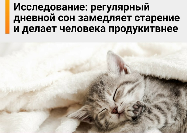 Регулярный дневной сон замедляет старение и делает ва?...