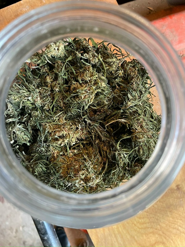 🌿 В Сакском районе оперативники изъяли каннабис.
Сот?...