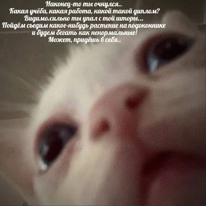 Утренняя подборочка