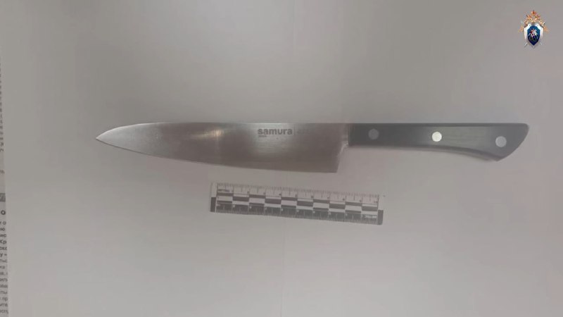 Школьница ударила ножом одноклассницу в Красноярском крае — это уже второй инцидент с нападением в р