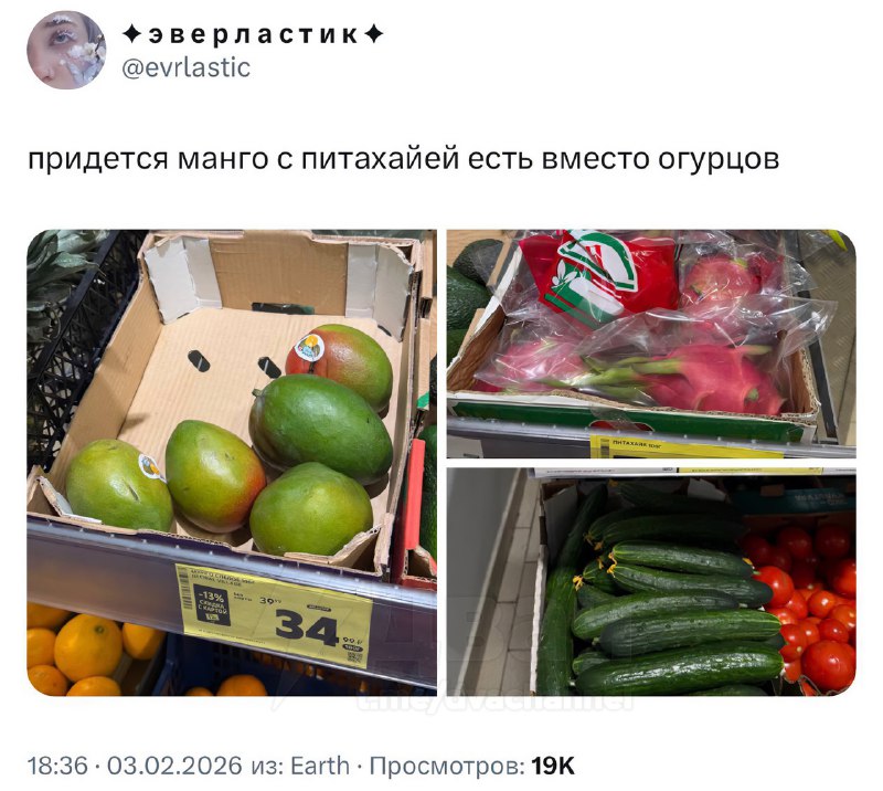Цены на огурцы в России сошли с ума: теперь килограмм стоит столько же, сколько манго или питахайя —