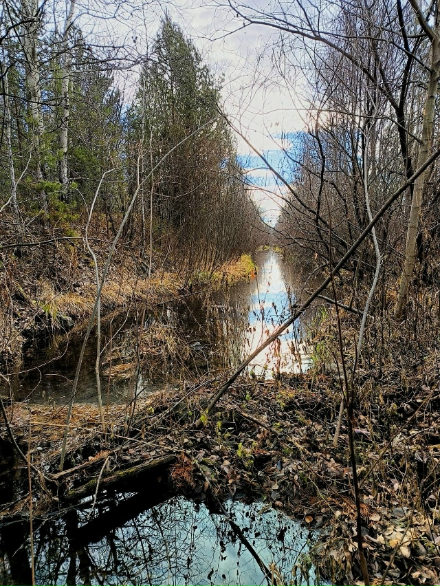 Прогулка с друзьями в районе Косой речки и реки Туры. Н?...