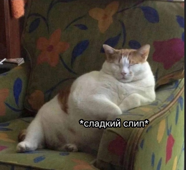 Я уже мастер короткого сна