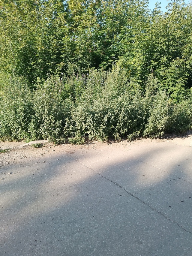 Добрый день
Обращались в городскую администрацию,а во?...