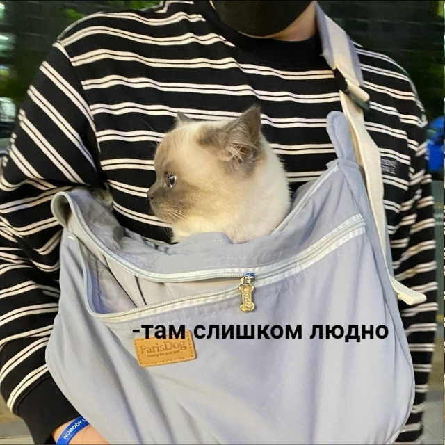 Типичная прогулка с другом-интровертом