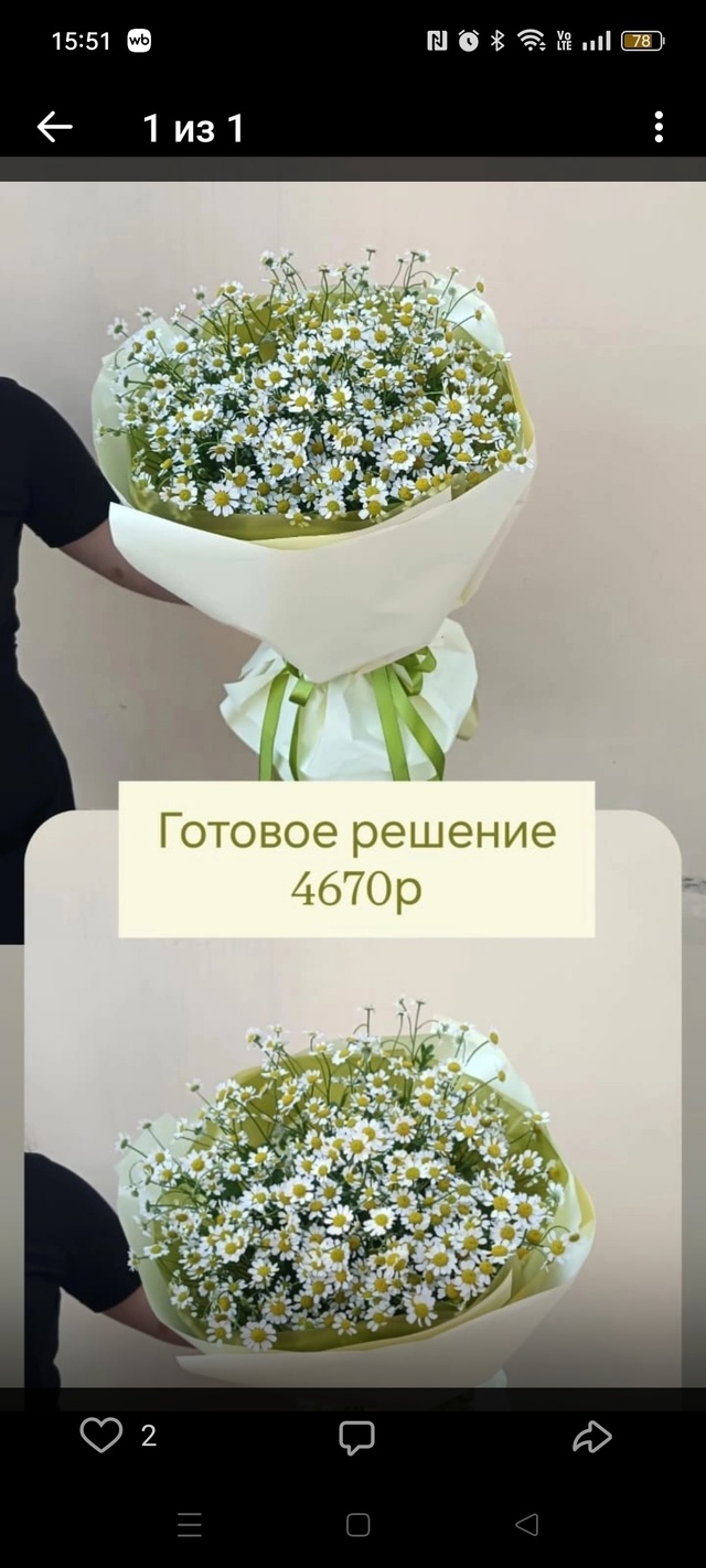 КАК ВАМ, РЕБЯТА? РОМАШКА ПОЛЕВАЯ