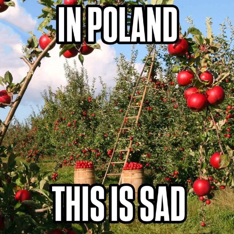 Утренняя подборочка