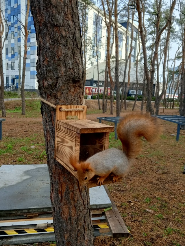 Белки рулят. Парк дельфин 🐬