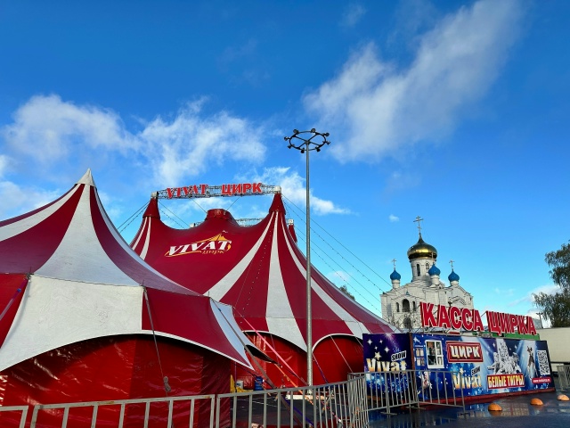 🎪 Яркие и звонкие гастроли программы [club184069340|белые ти...