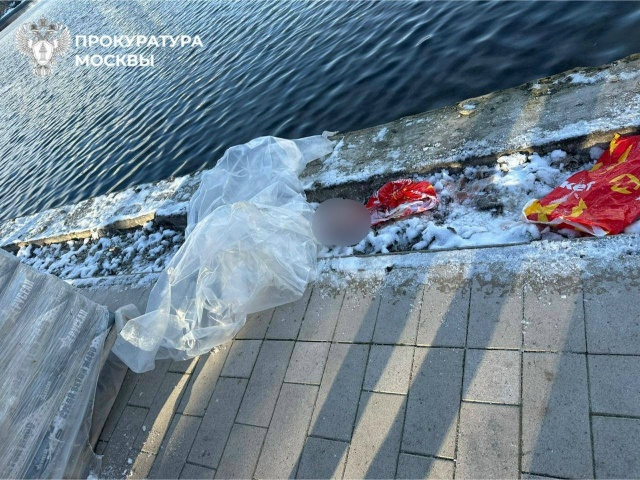 Части тела ребенка обнаружили в рюкзаке в московском п...