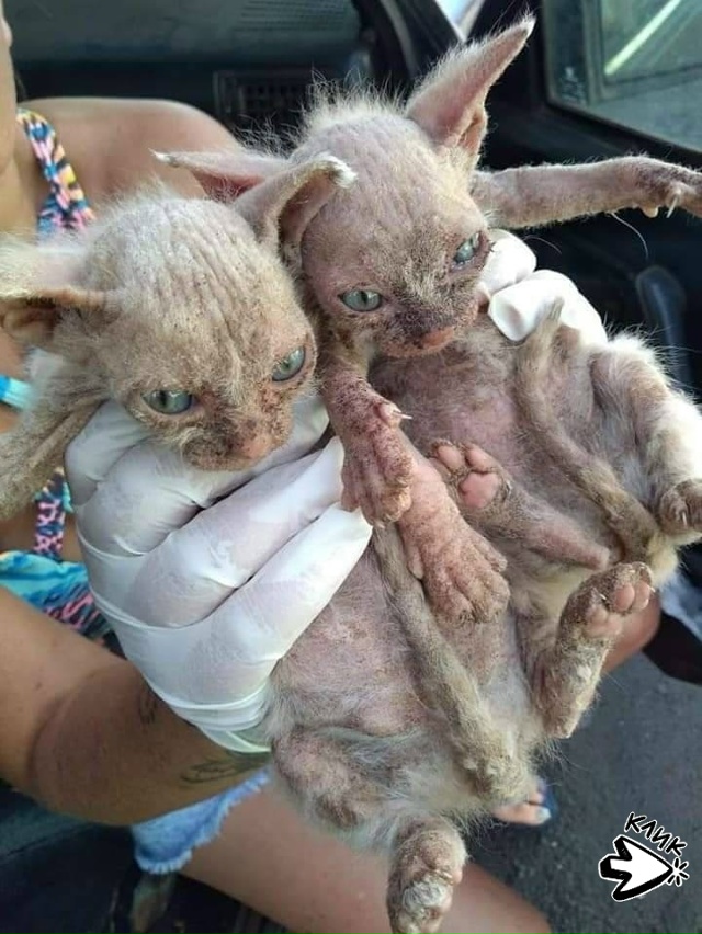 Хорошо, что на нашей Земле, есть ещё такие Добрые люди ??...