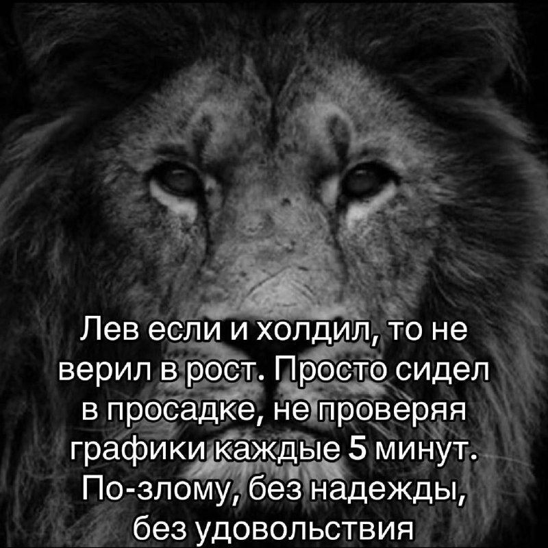 Все таки лев или тигр?