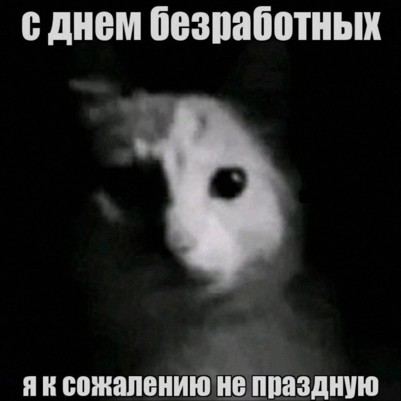 Ночная подборочка
Выходные, не спим