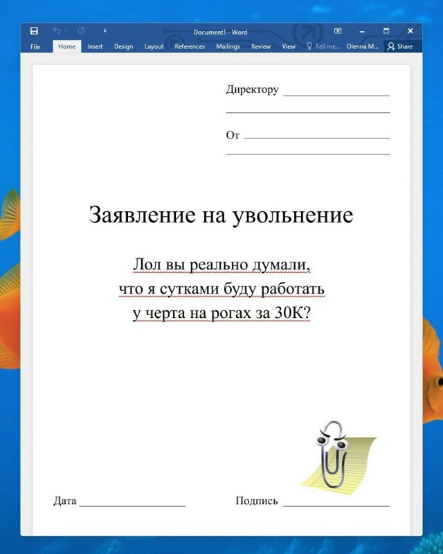 Заявление на увольнение, как крик души😅