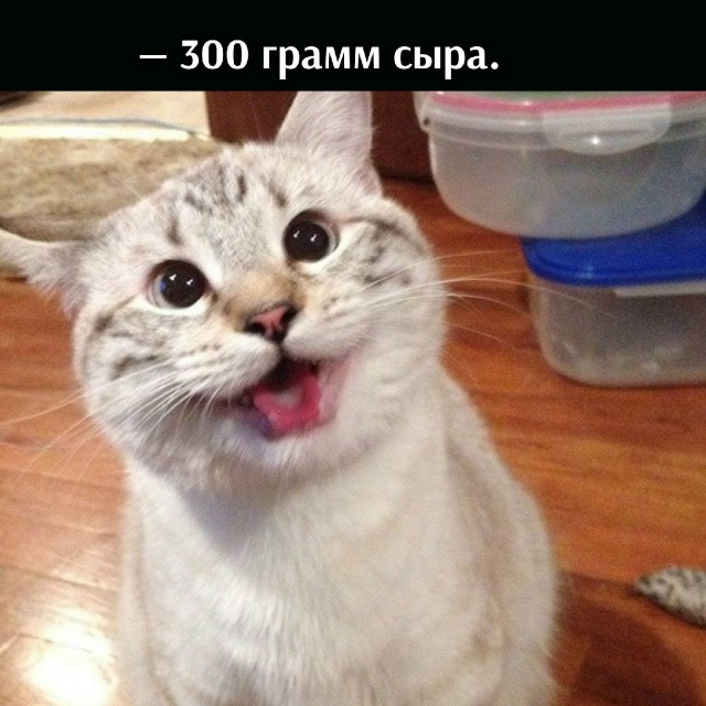 😂