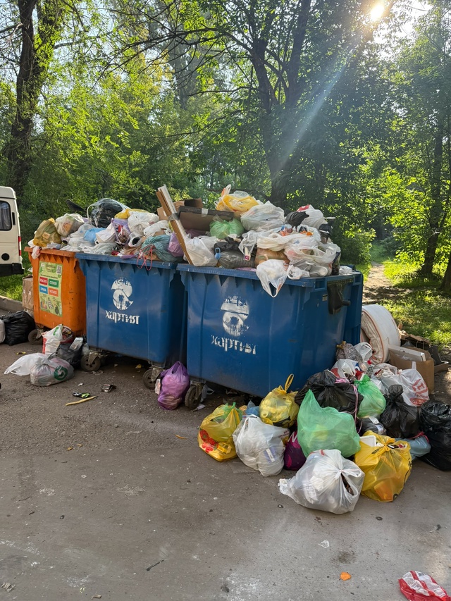 На протяжении года всем домом пытались решить вопрос р...