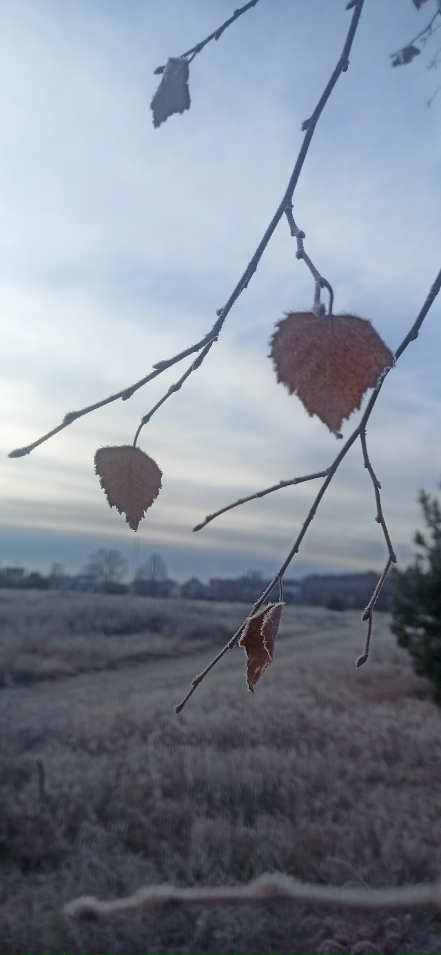Доброй ночи, Никольск❤