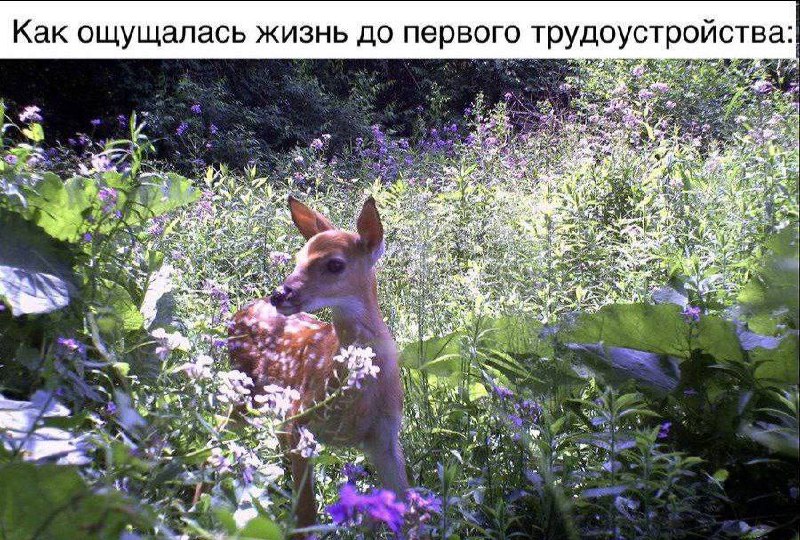 Утренняя подборочка