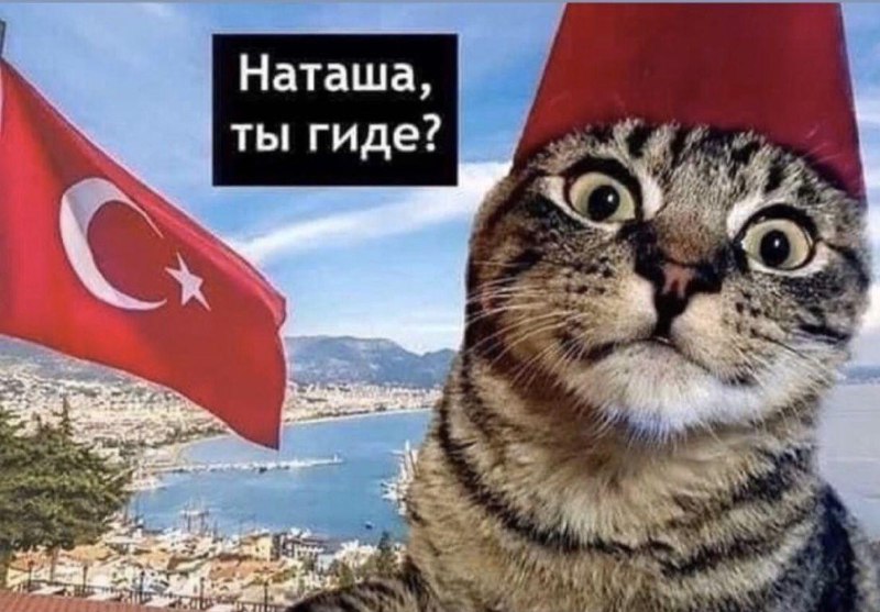 Одинокие россиянки массово едут в Турцию после просмотра местных сериалов.
77% признаются, что ищу