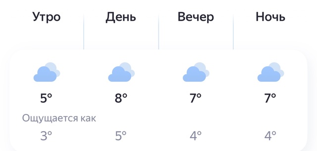 ‼️Погода Брянск сегодня